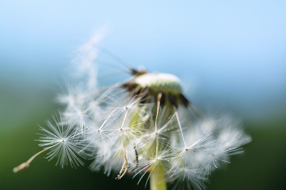 Фотография автора Мария
