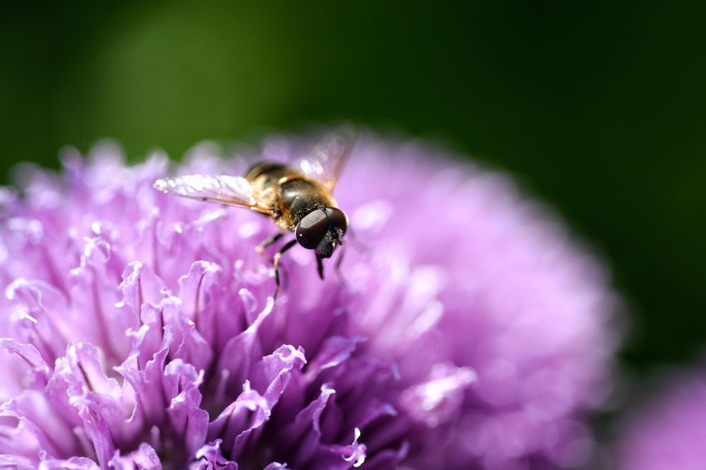 Фотография автора Мария