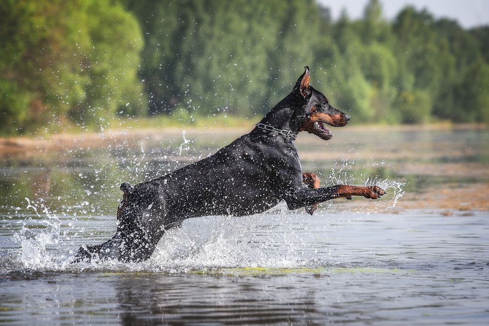 Photograph by Елизавета Журавлева