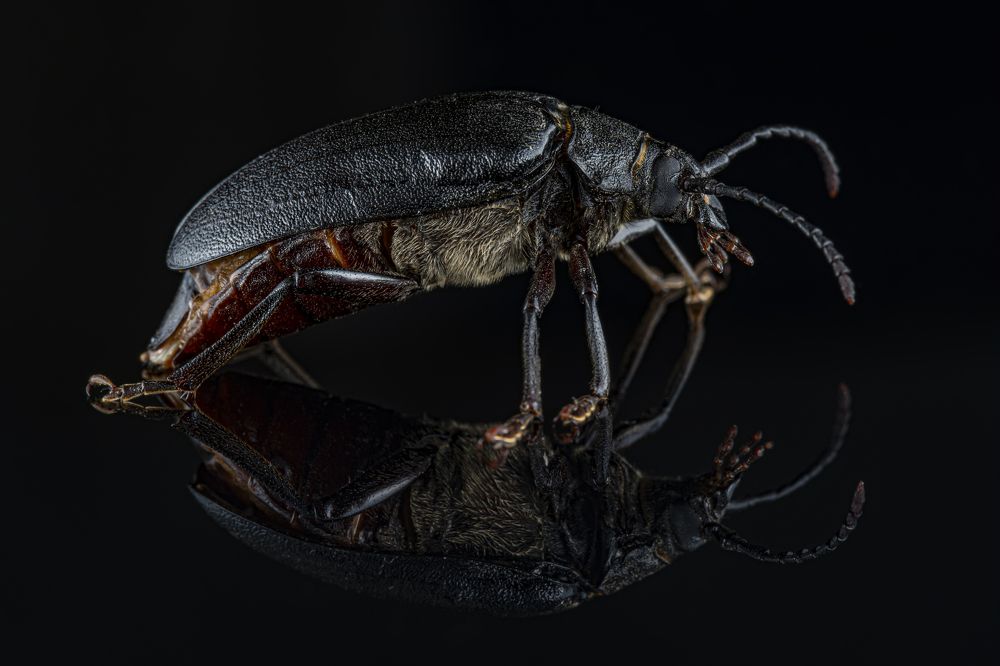 Photograph by Сергей Чупахин