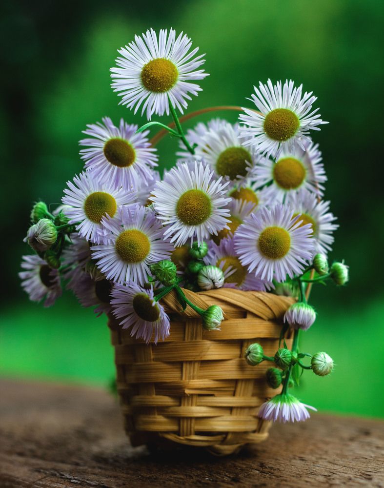 Корзиночка с летом.