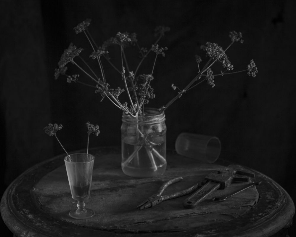 Купырь (из серии