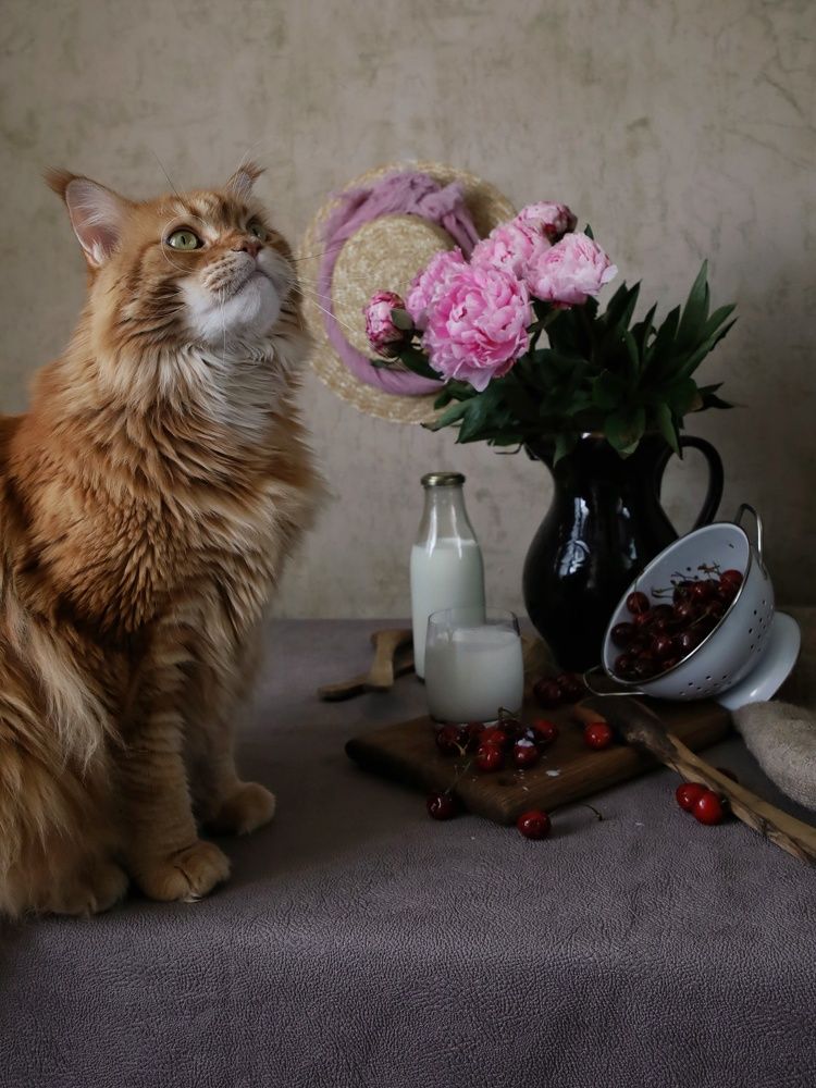 Photograph by Angelica Medvedeva