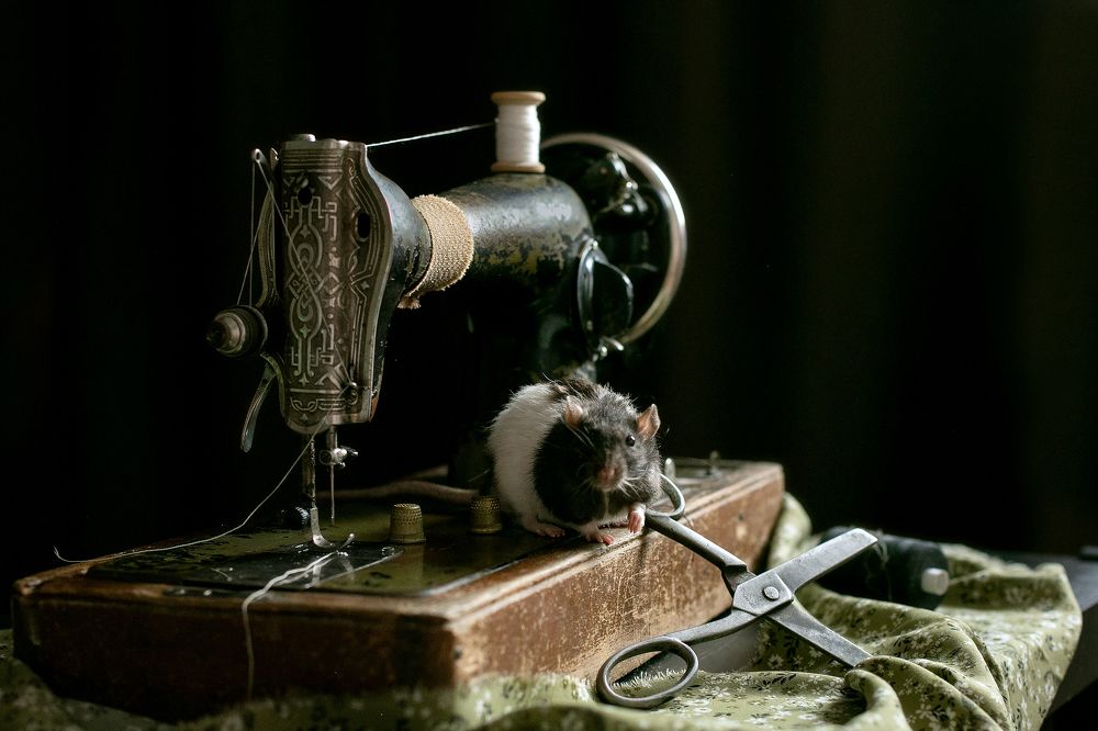 Photograph by Елена Щенина