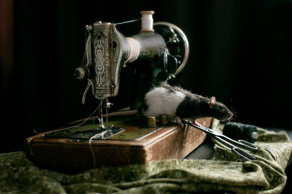 Photograph by Елена Щенина