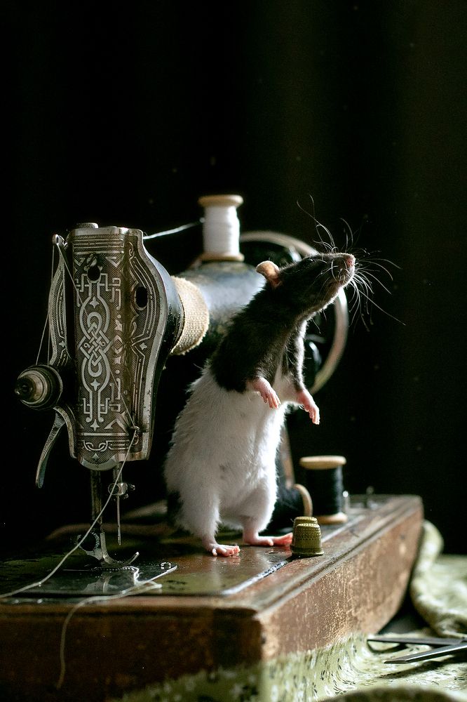 Photograph by Елена Щенина