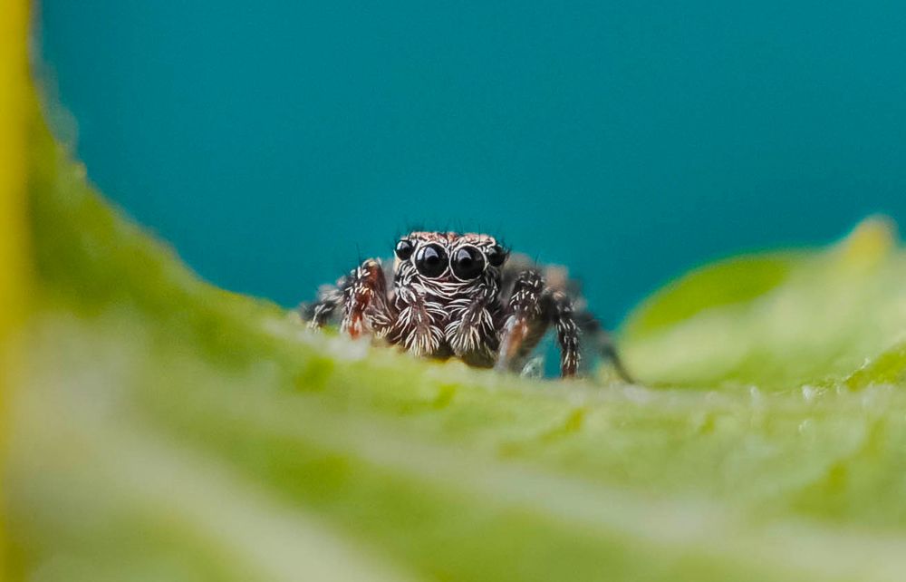 Photograph by Олеся zme