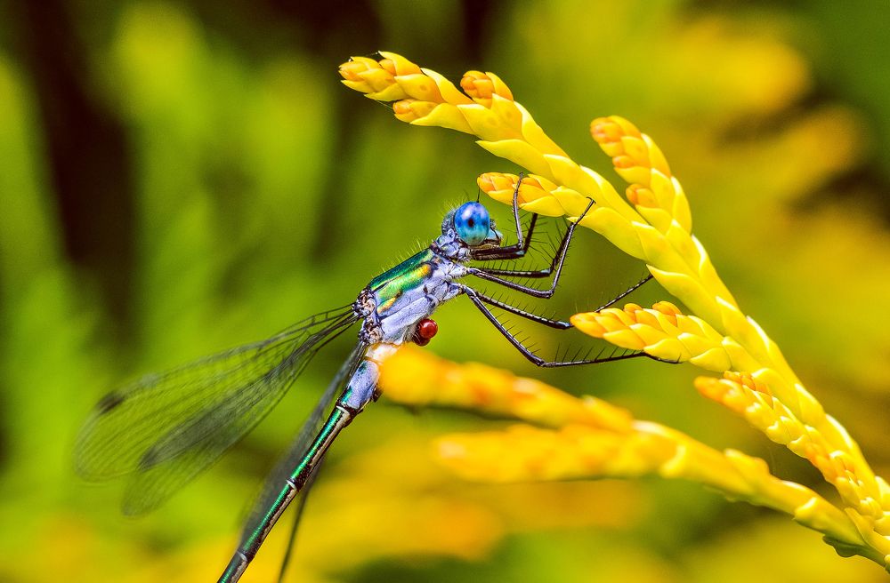 Photograph by Олеся zme