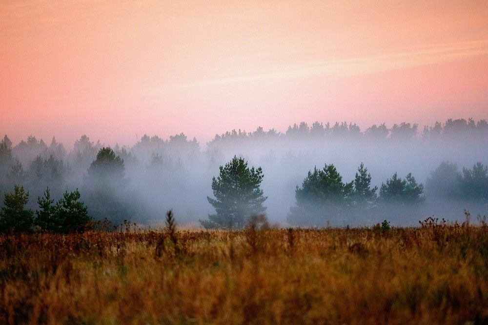 Photograph by Сергей Конюшенко