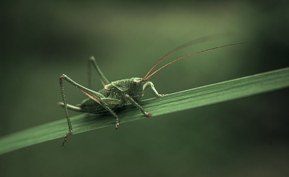 Photograph by Andreyr Rut