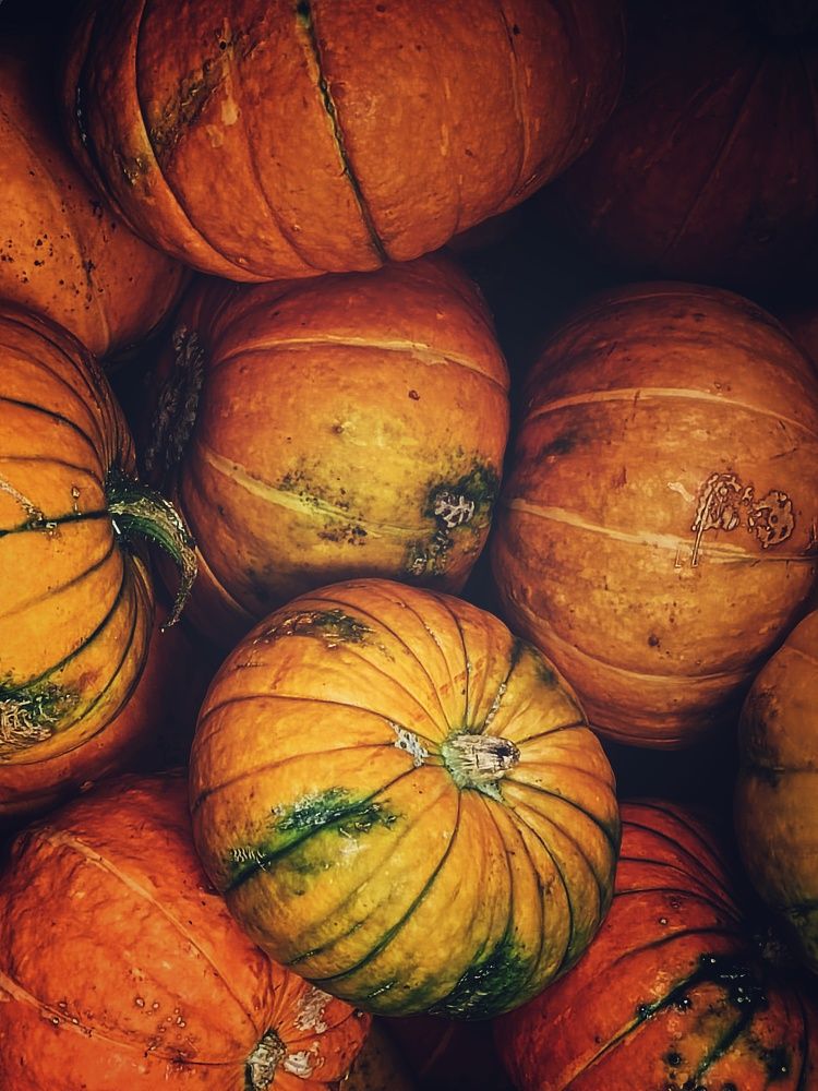 Photograph by Ольга