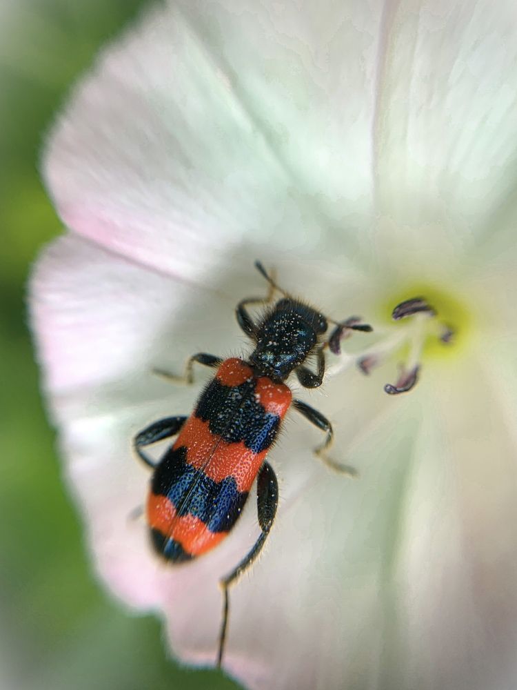 Photograph by Анна Потапова