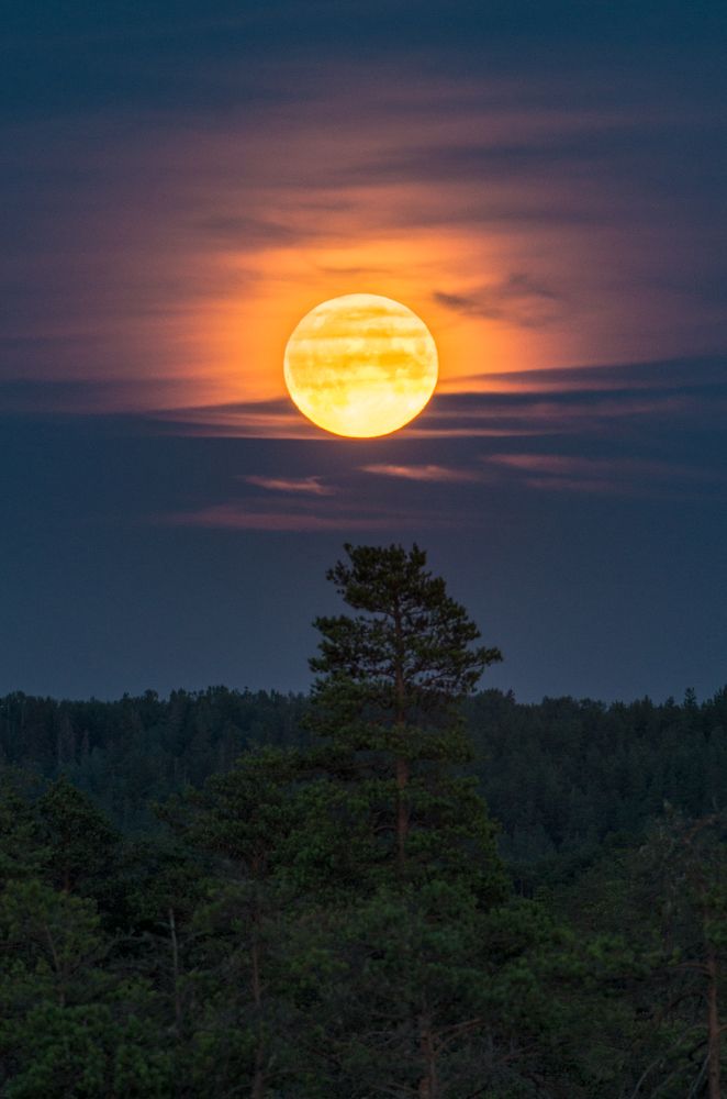 Photograph by Nikolai Mordan