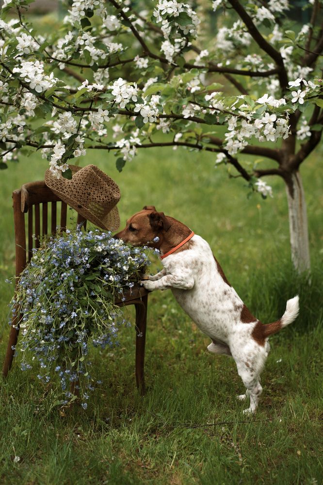 Photograph by Liliya Rodionova