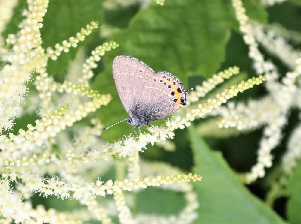 Photograph by Ирина Садовникова