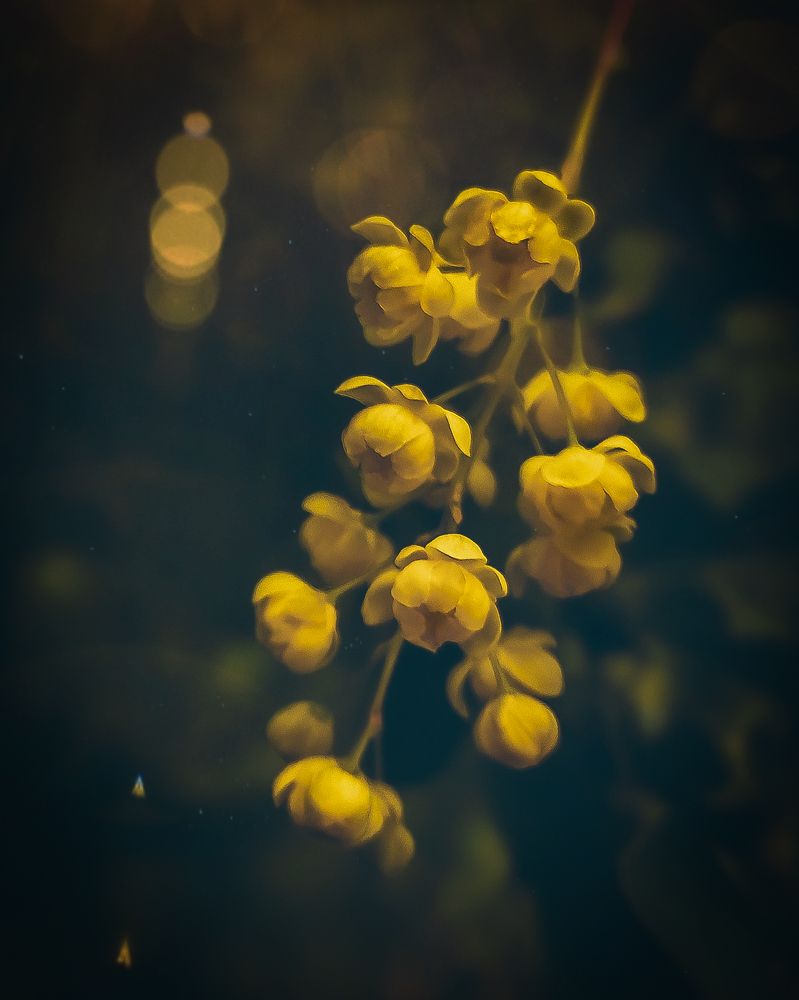 Photograph by Люда Яковлева