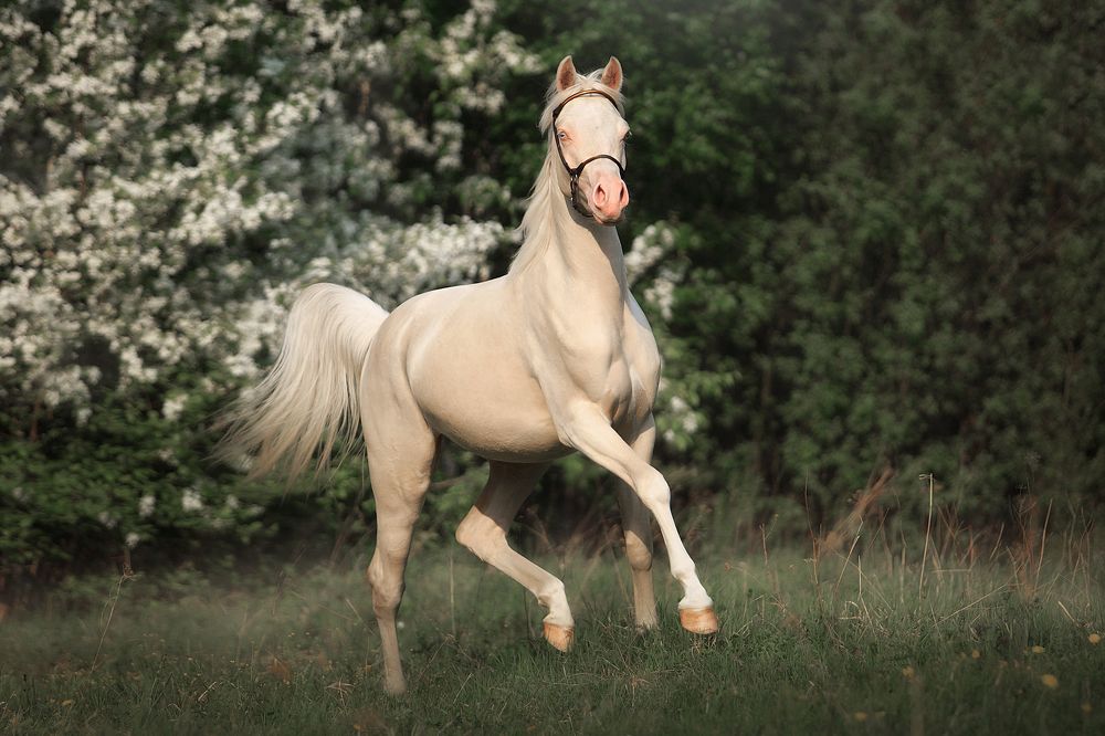 Photograph by Дарья Ералева