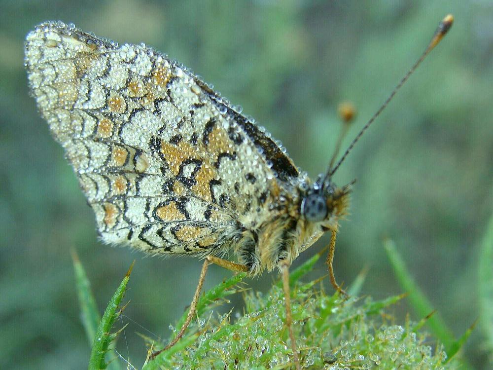 Фотография автора Павел Попов
