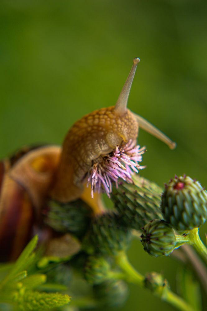 Photograph by Ирина Дмитриенко