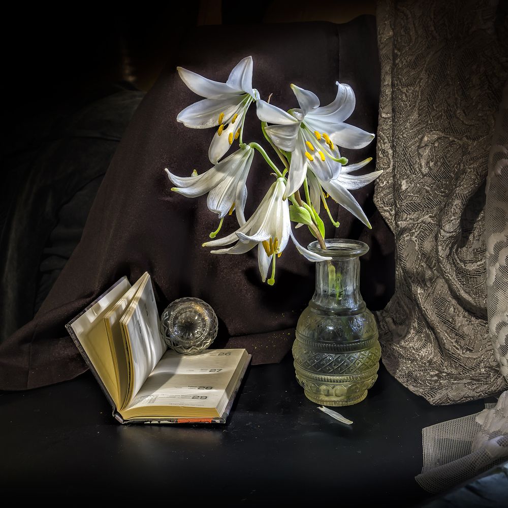 Фотография автора Milena Ivanova