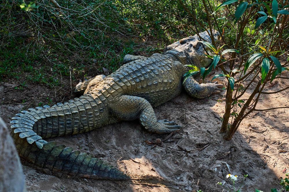 Photograph by Дмитрий Солодухин