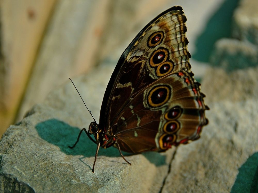 Photograph by Дмитрий Розенбаум