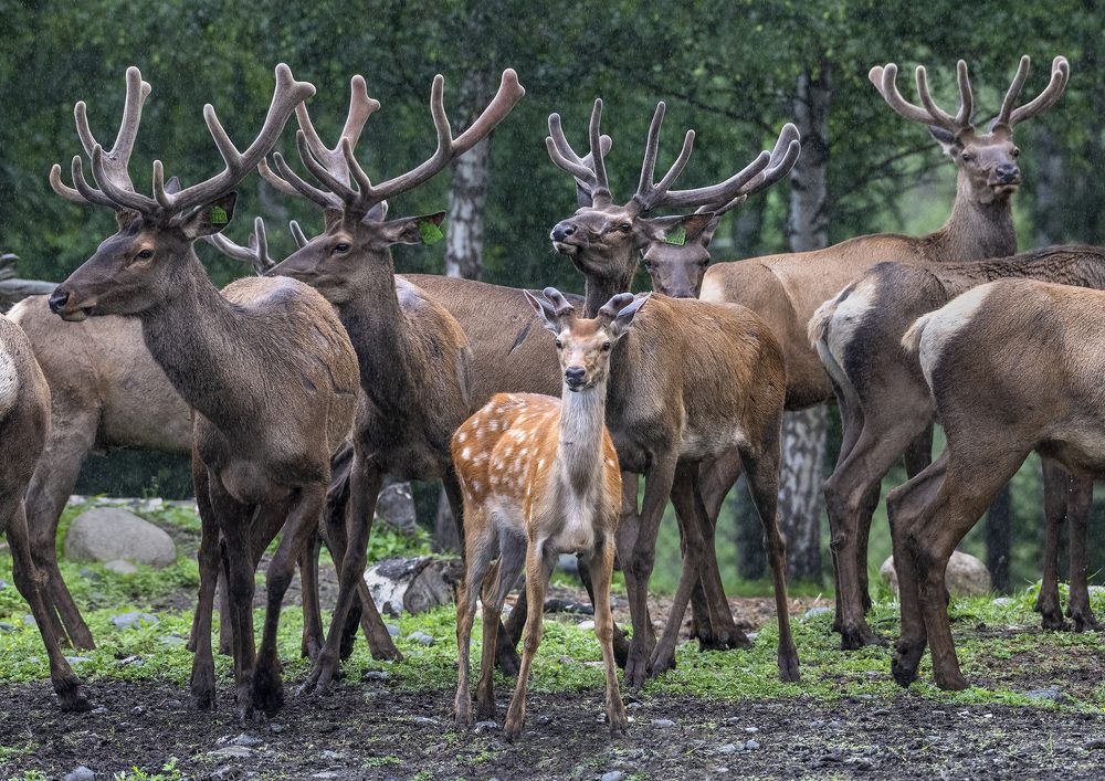 Photograph by Евгений Санин