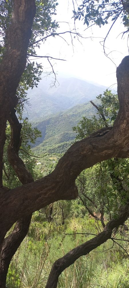 Photo #9296534
