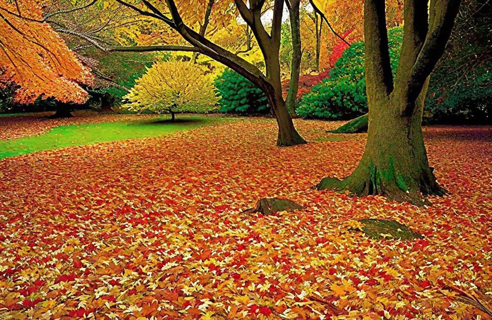 Фотография автора Eduardo Gavazzi