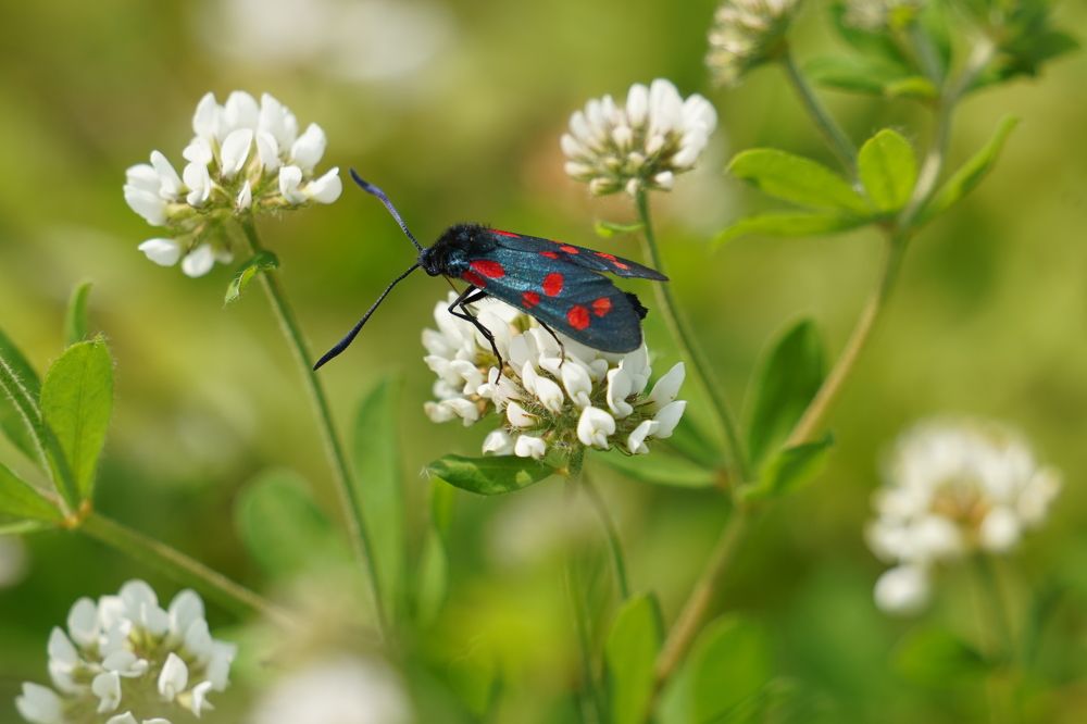 Photograph by Дмитрий Цикин