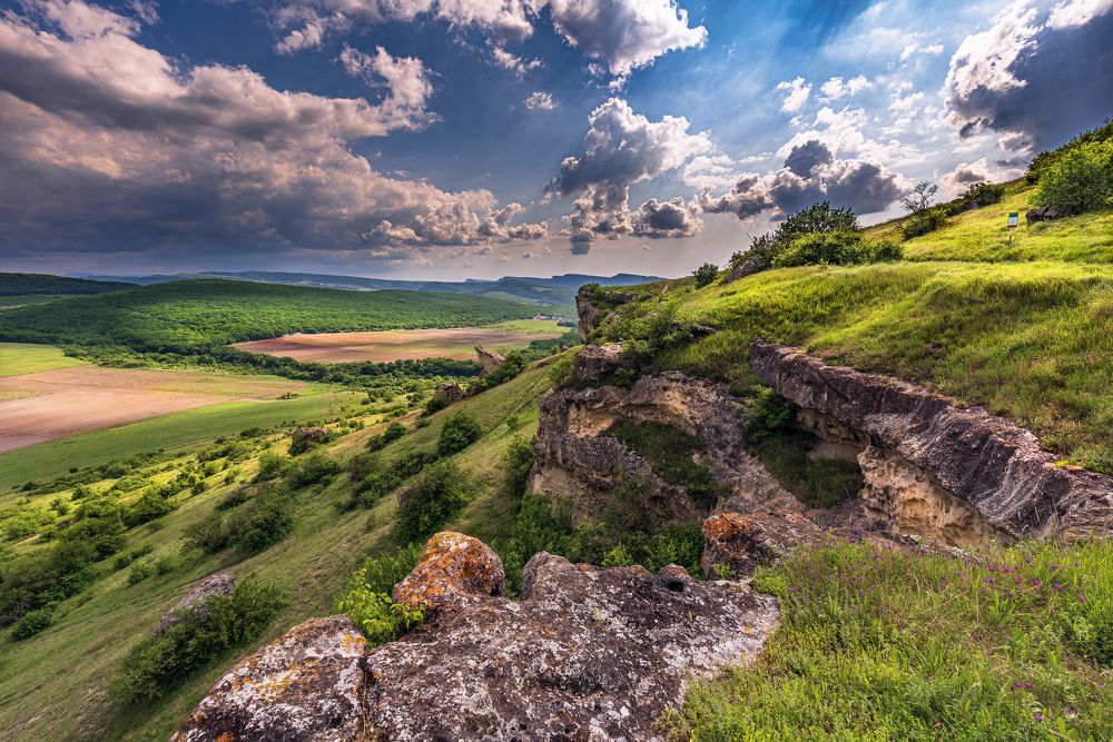 Photograph by Владимир Лысов