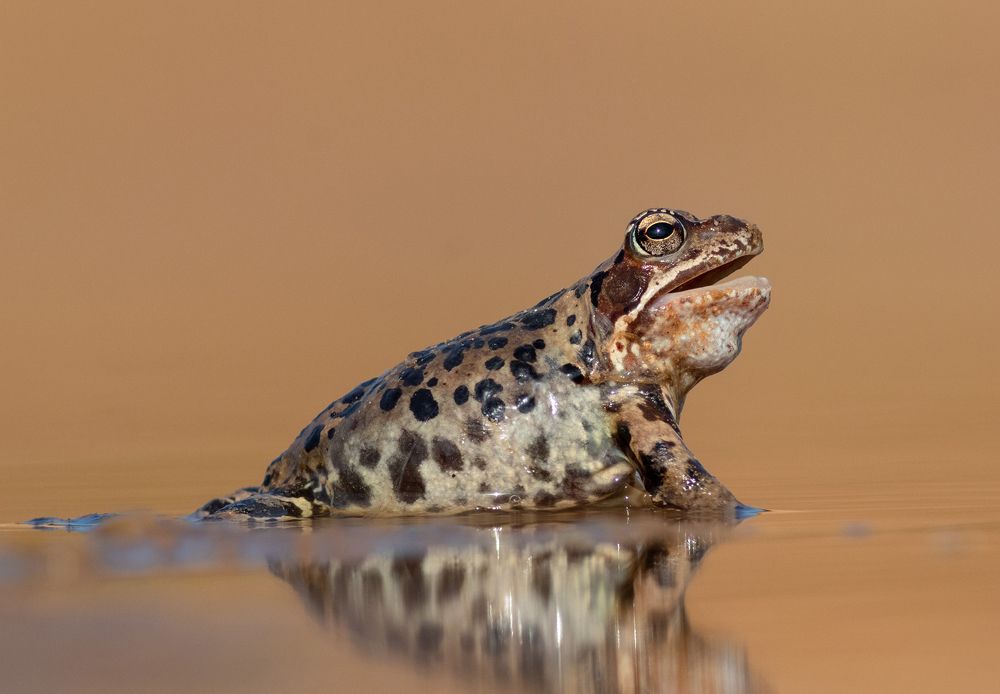 Photograph by Павел Краснослободцев