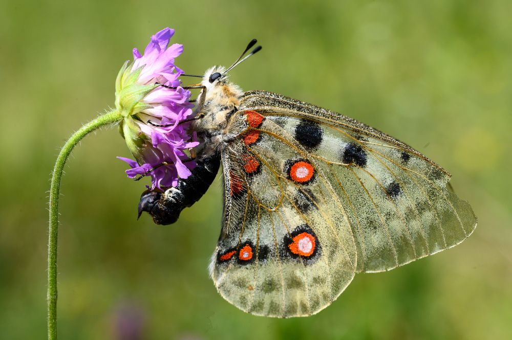 Photograph by Олег Сальников