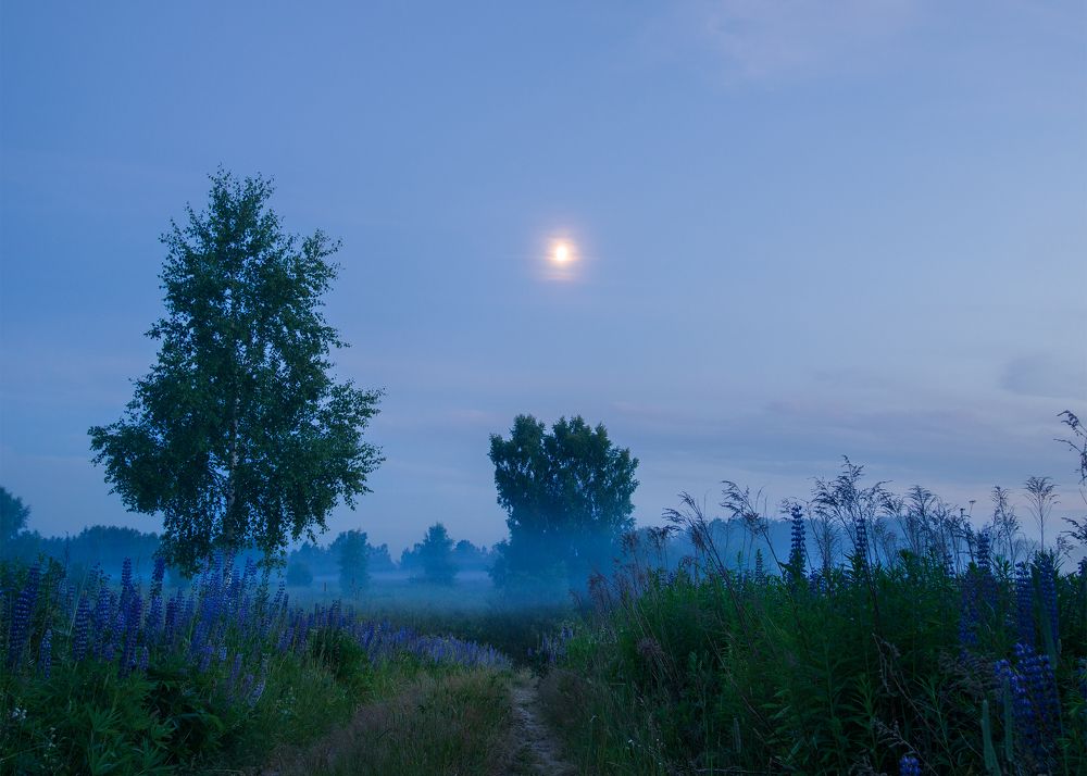 Фотография автора владимир шаронов