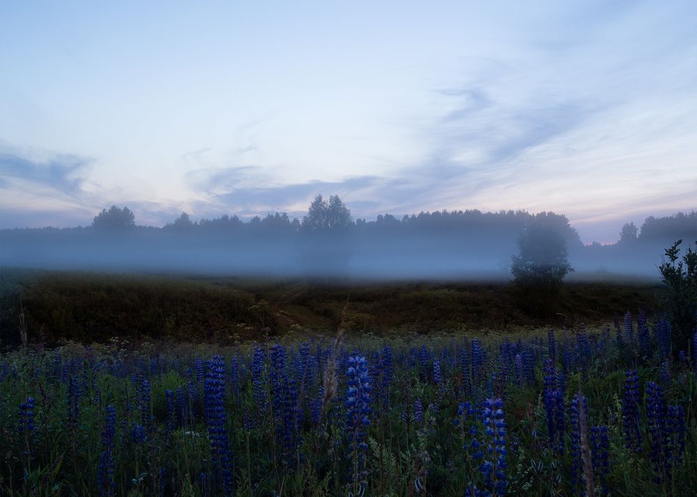 Фотография автора владимир шаронов