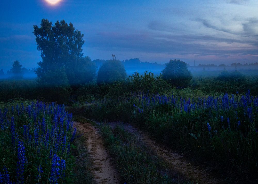 Фотография автора владимир шаронов