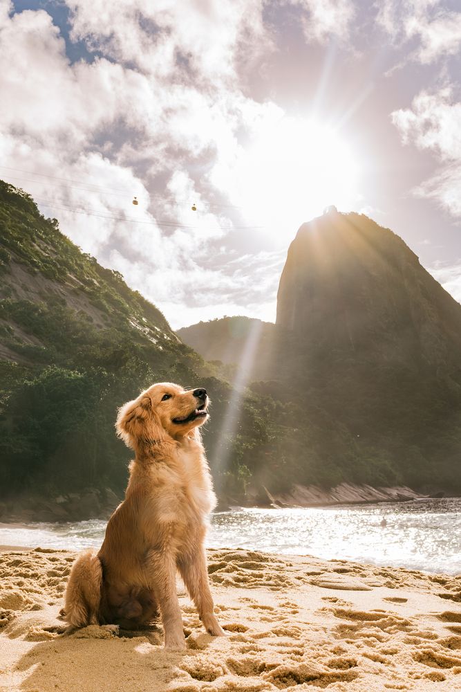 Photograph by Daiane Moraes