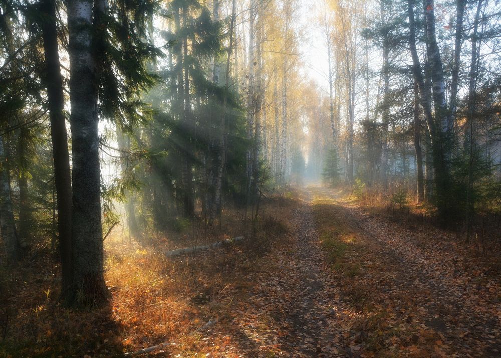 Photograph by Сергей Алексеев