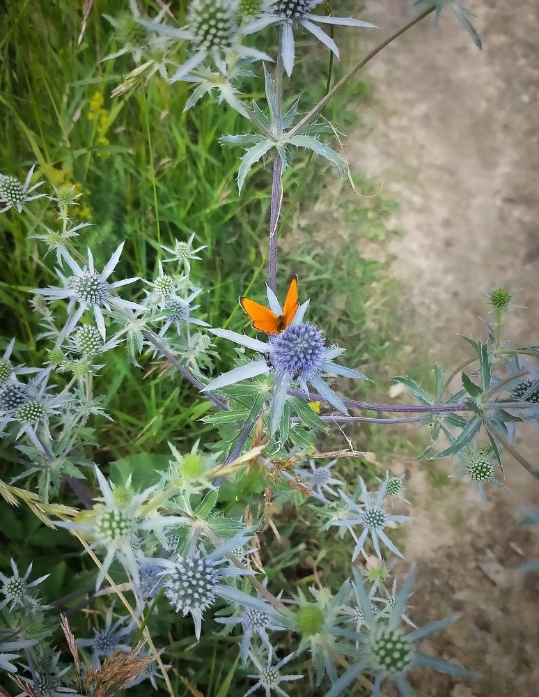 Photograph by Ольга Мартьянова