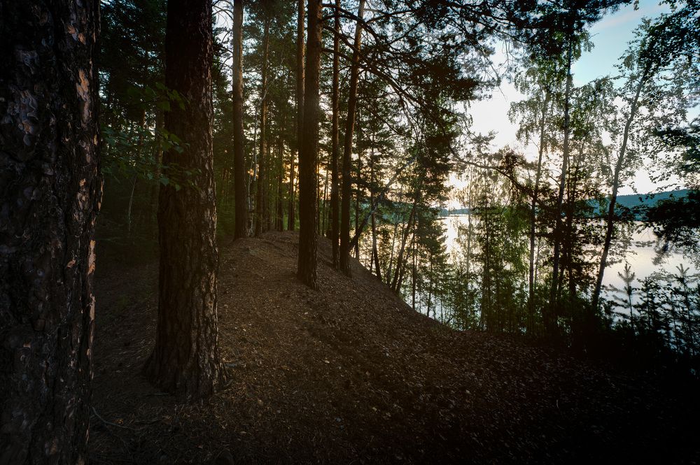 Photograph by Ivan Fedyanin