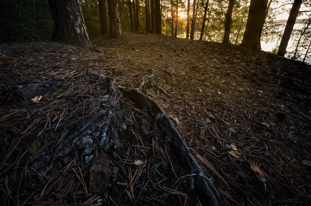 Photograph by Ivan Fedyanin