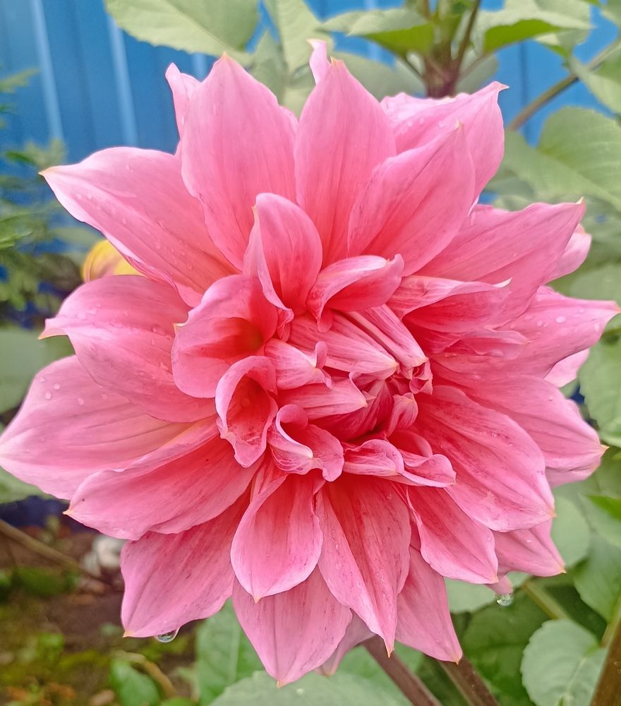 Photograph by Иван Левин