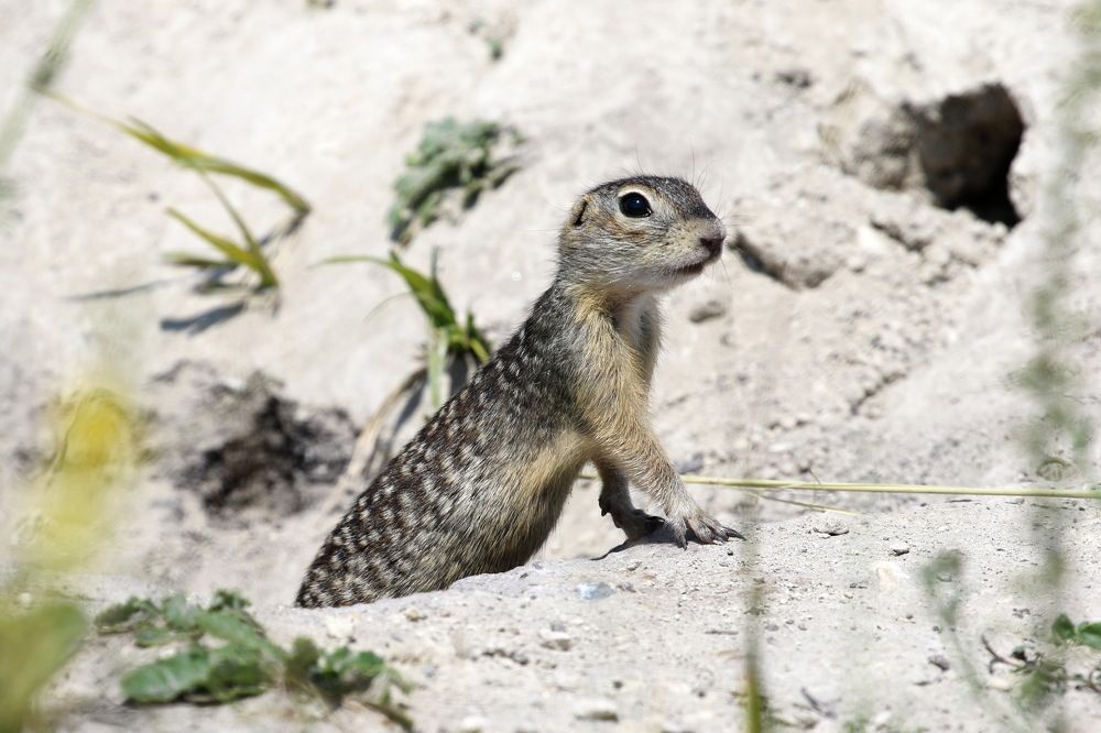 Photograph by Евгений Софронов