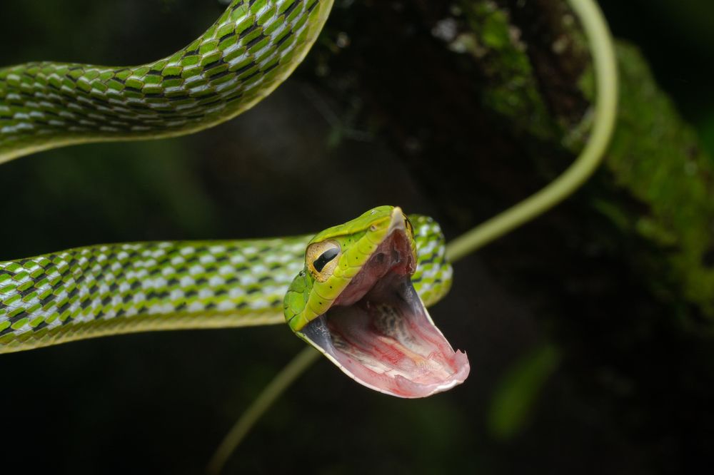 Photograph by Tushar Chindarkar