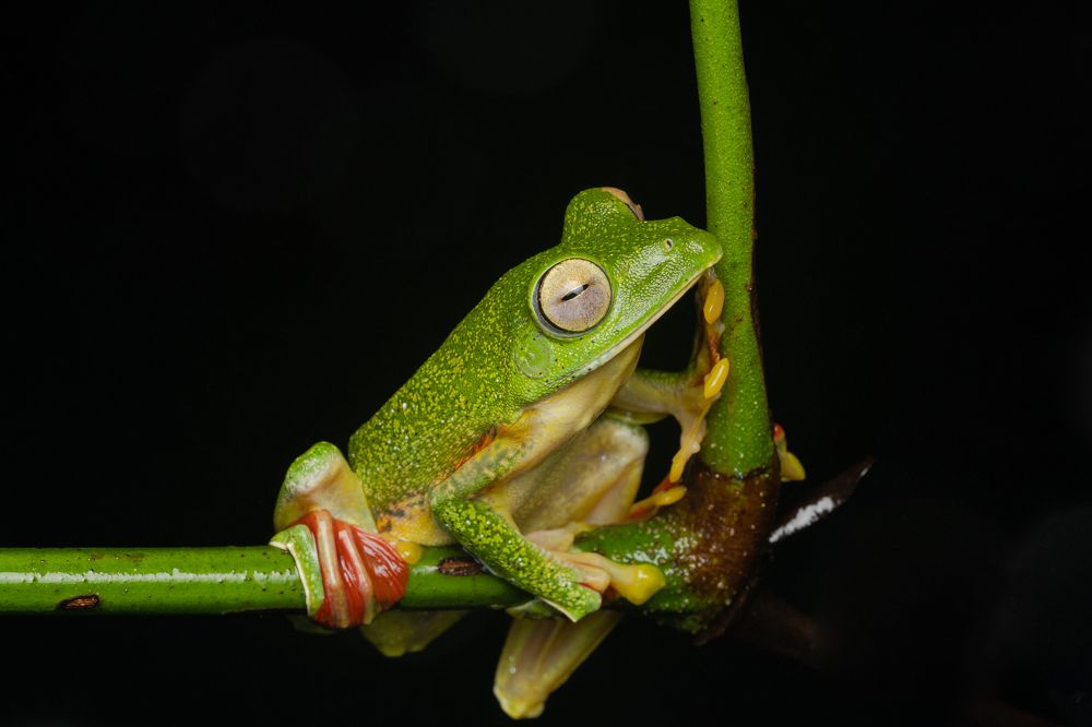 Photograph by Tushar Chindarkar