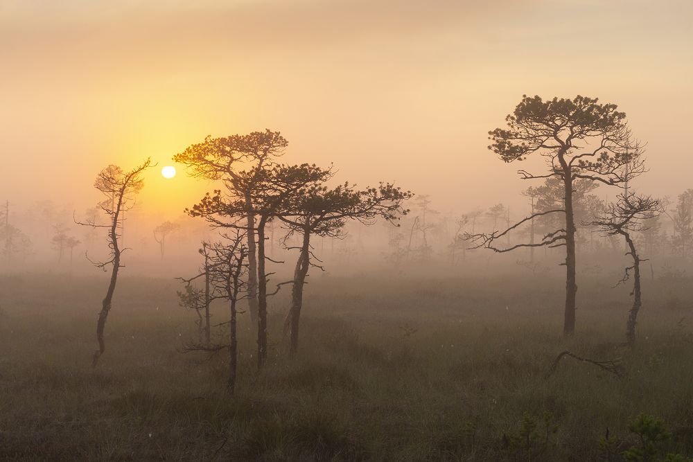 Photograph by Радик Гатауллин