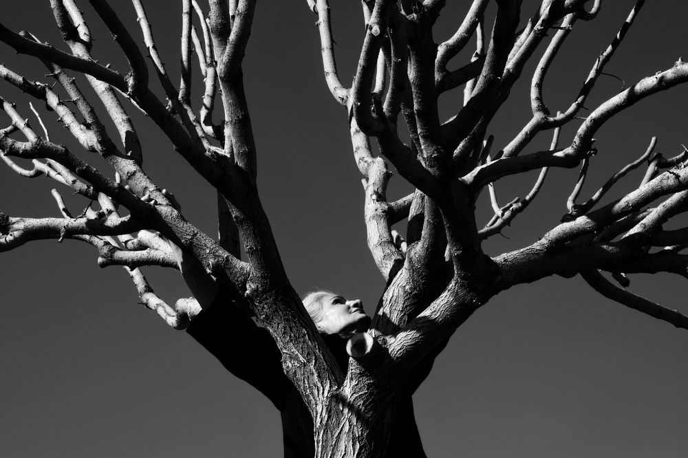 Photograph by parmida mirazimi