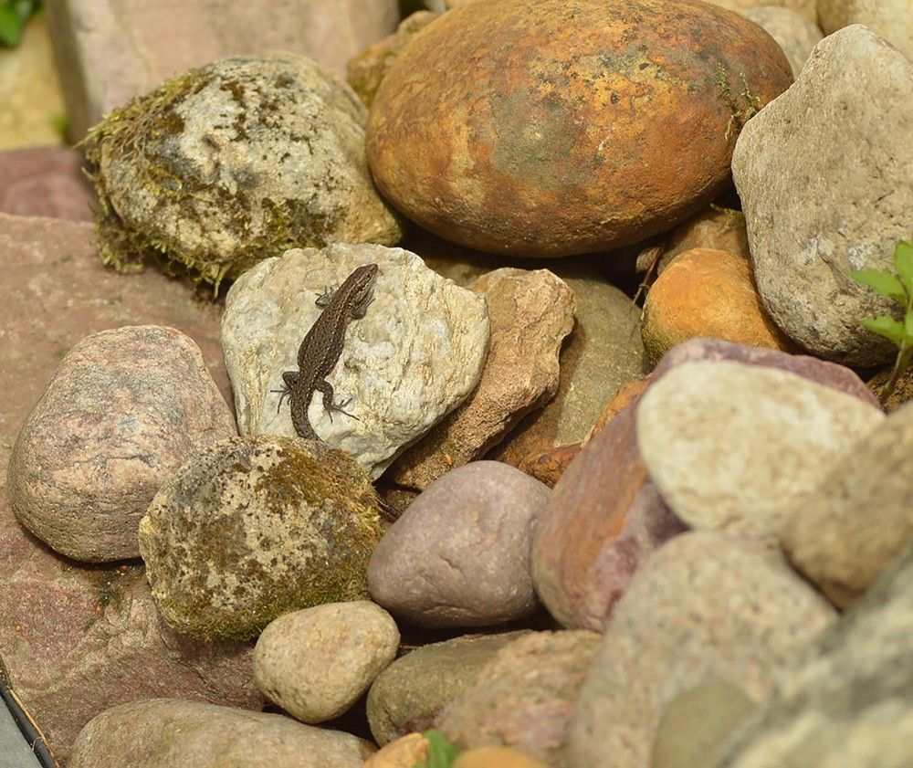 Photograph by Ксения