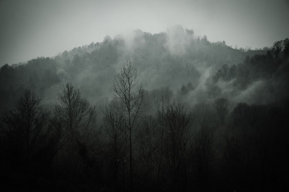 Photograph by parmida mirazimi