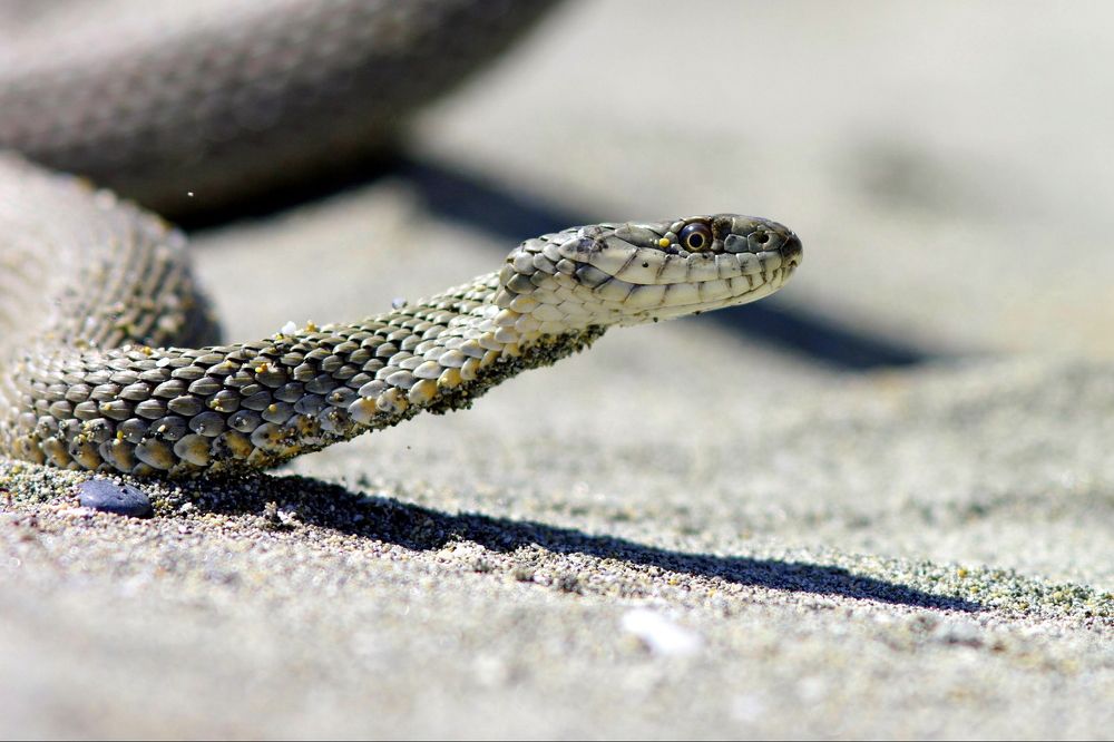 Photograph by Арсен Алабердов